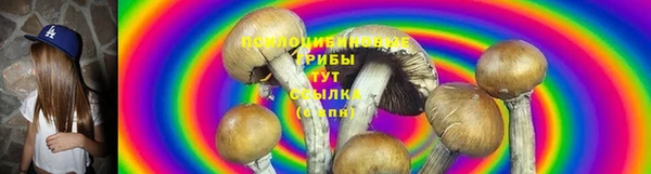 дживик Михайловск
