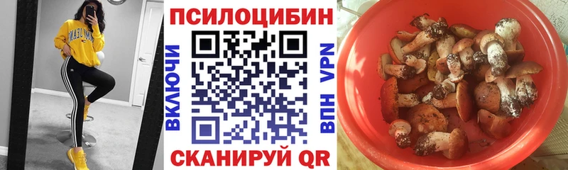 Псилоцибиновые грибы Magic Shrooms  Купить где  Среднеколымск 